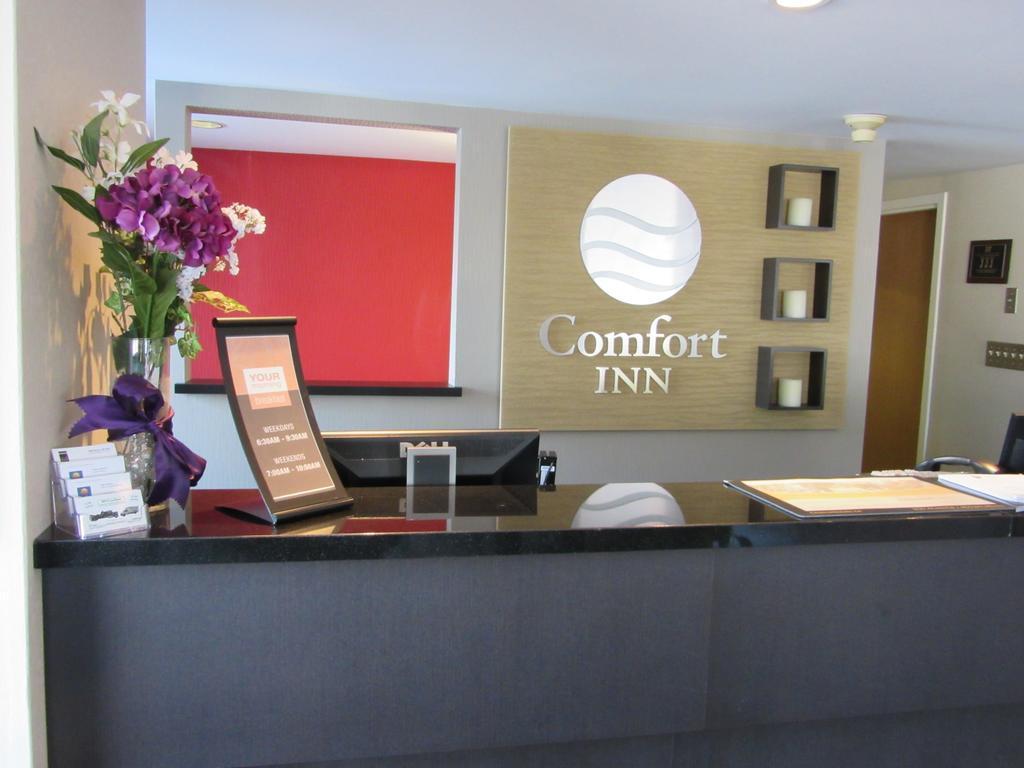 Comfort Inn Cobourg Exteriér fotografie