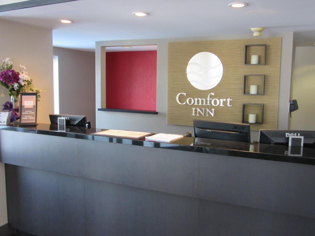 Comfort Inn Cobourg Exteriér fotografie
